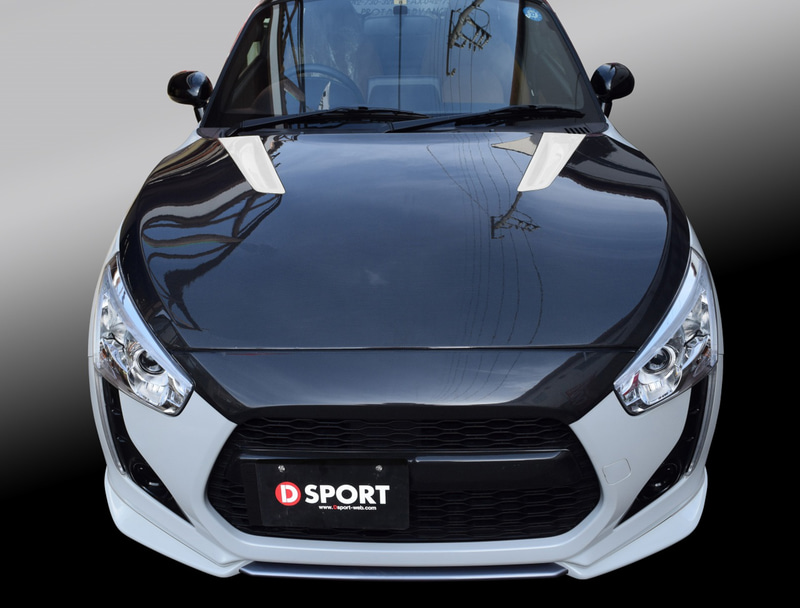 Robe用フルカーボン製