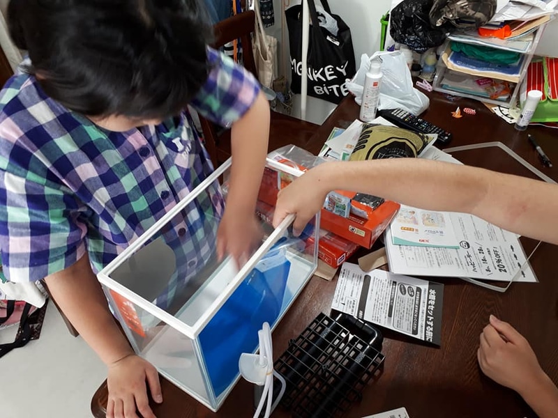 最初に購入した水槽のサイズは18×36×26cm（縦×横×高）で約20L入る水槽