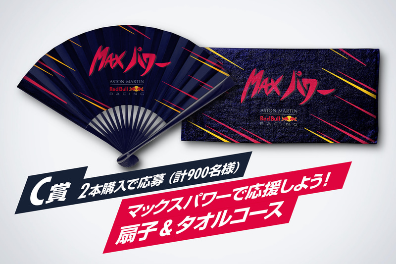 応援グッズ　扇子＆タオルコース（360名）