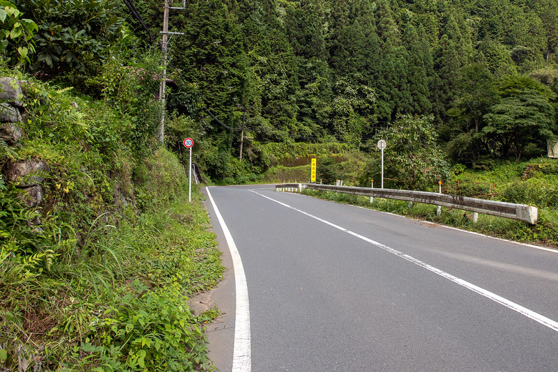 ダラダラの登り坂。楽に走れるとは言わないがe-bikeなら足付きなしで登っていける。ちなみにモーターのアシストは24km/hまで効く仕様で、全域一定トルクではなく低速ほど強く、車速が24km/hに近づくにつれてアシスト量が減っていく仕様。筆者の脚力では15km/h前後のペースが安定する