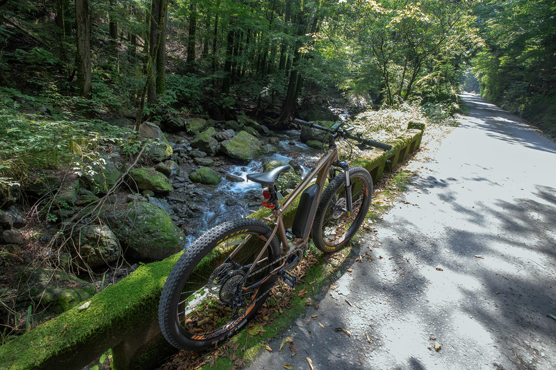 序盤は気持ちいい山道。木陰と沢からの冷たい空気が気持ちいい