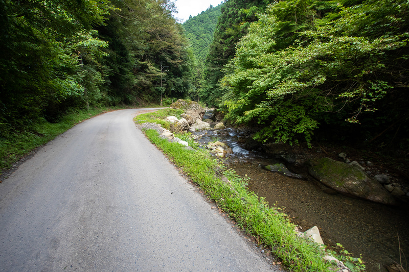 下りは森や沢からの冷たい空気を切って走れるので本当に気持ちがいい