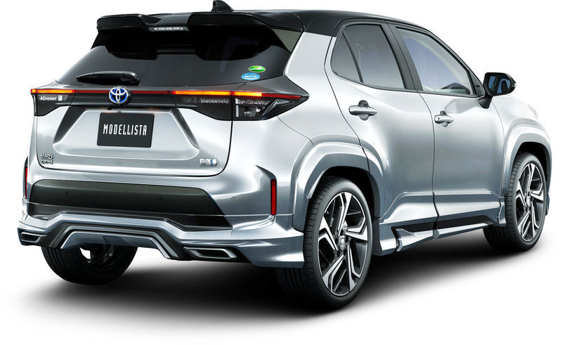 アドバンス ロバスト スタイル