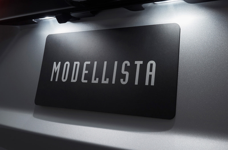 LEDライセンスランプ　価格8800円