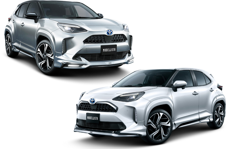 アドバンス ロバスト スタイル（左）とエレガント アイス スタイル（右）