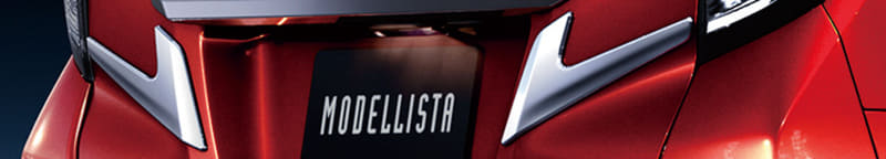 バックドアガーニッシュ：2万8930円