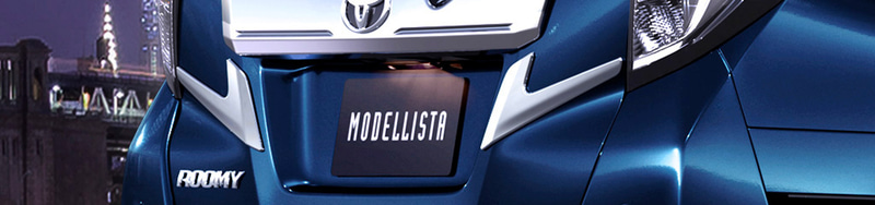 バックドアガーニッシュ：2万5300円