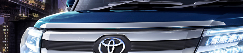 フードガーニッシュ：2万4200円