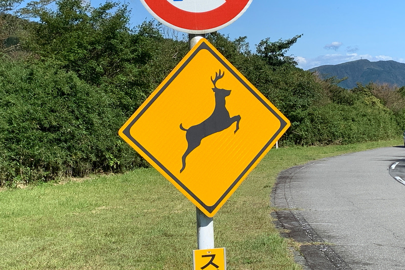 鹿や猪、狸やキツネなどとの衝突は年々増えている。交通ルールとか通用しない相手なので対策はクルマ側が立てるしかない