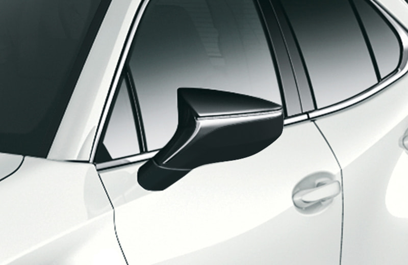 ヘッドライト、ドアミラー、ルーフレールにブラック塗装を施した