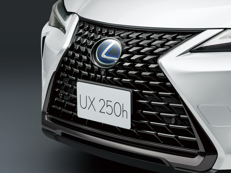 スピンドルグリル（特別仕様車専用ブラック塗装）＆フレーム（特別仕様車専用漆黒メッキ）