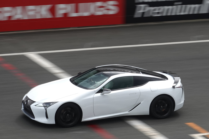 走る姿が美しい