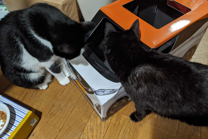 昼寝を終えてエサを食べた後、再びおうち用にゃっさんデイズに興味を示す猫たち。ボンネットやルーフに足をかけたら車体が潰れてしまわないかとヒヤヒヤしたが、意外と頑丈