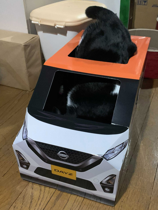 ルーフ部分からにゅるりと車内（？）に入って、すっぽり収納。わが家の愛猫は骨格のがっしりした大きめの体格なのだが、それでも内側スペースには余裕があった