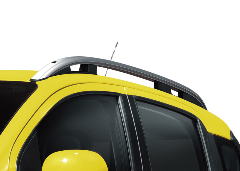 シルバー仕上げのルーフレール