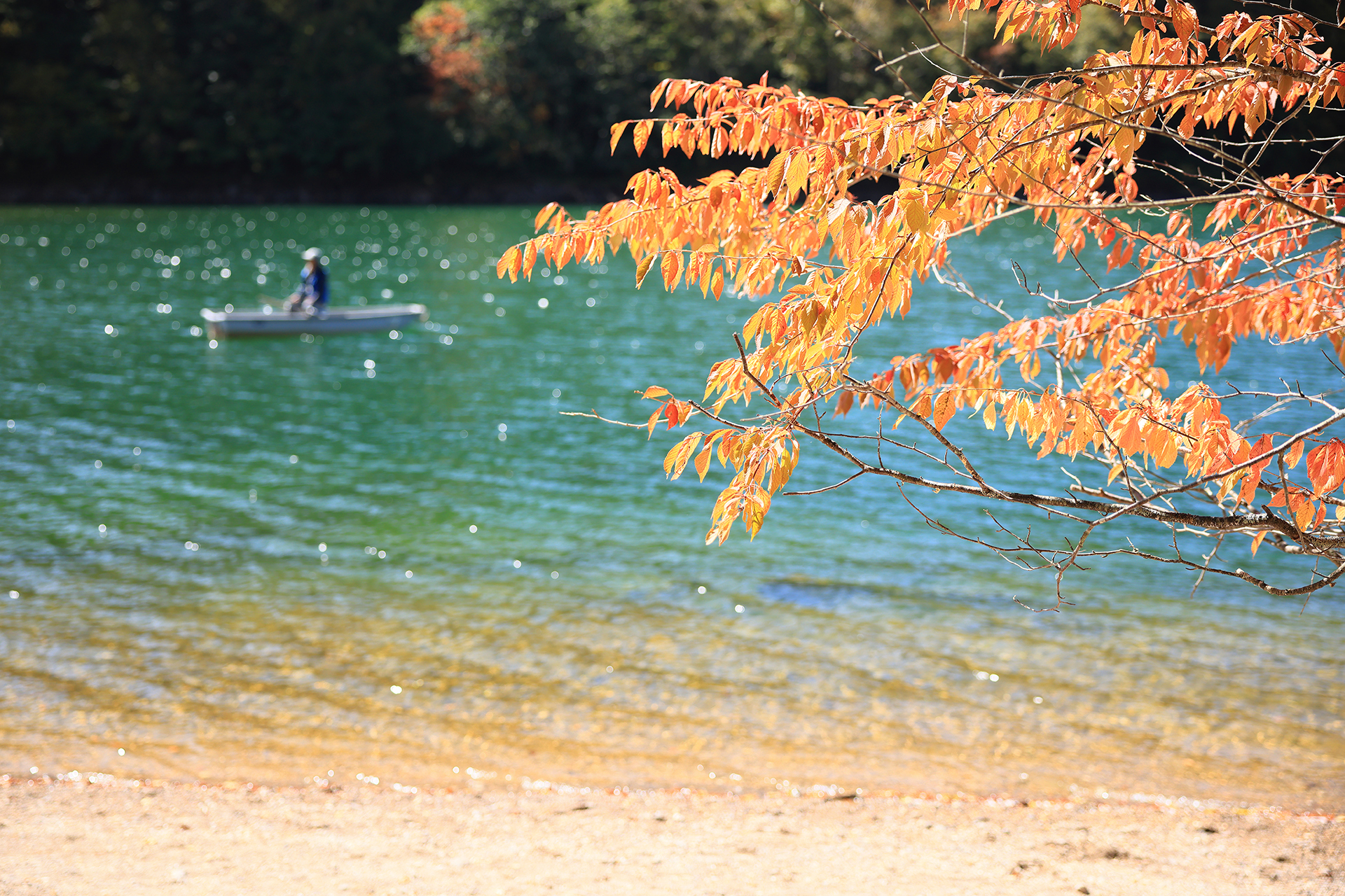 釣り船と紅葉。水面と紅葉を絡ませるためにバリアングルモニターを使ってハイアングル撮影した。　EOS R5　RF24-70mm F2.8 L IS USM　ISO200　f2.8　1/400秒　PL