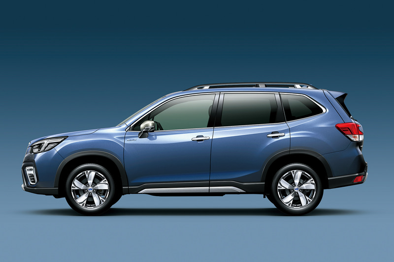 ホライゾンブルー・パール