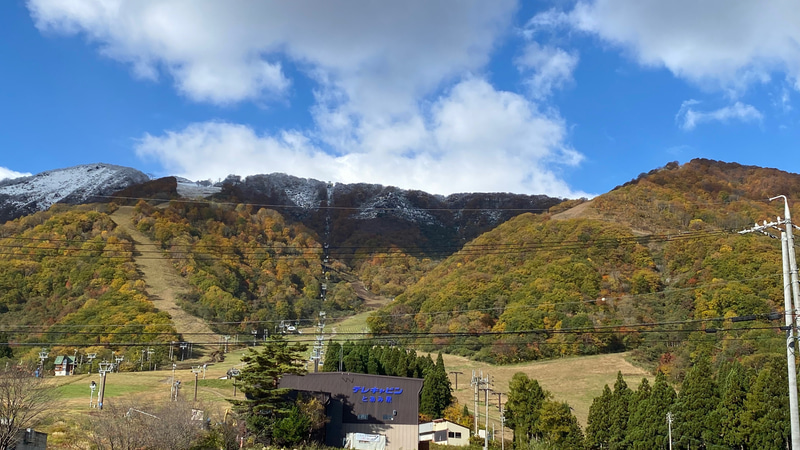 いちばん上が雪の白、真ん中が赤や黄色の紅葉、いちばん下は鮮やかな緑。これが、白馬名物の「三段紅葉」なのだと白馬村観光局の方が教えてくれました。雪景色が有名な白馬ですが、秋も素晴らしいですね。この後、蓼科方面を回って帰ったのですが、今年はどこも紅葉がすっごく綺麗です！