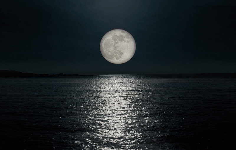 コンセプト「月の道」イメージ。新型LSでは「月の道」という自然界の神秘的な情景をモチーフに、内外装をコーディネート。僅かな光の変化で豊かな表情を浮かび上がらせ、存在感を感じて頂ける魅力的なカラーデザインとコーディネートにより、心地良いくつろぎの空間と、唯一無二の移動体験を提供する