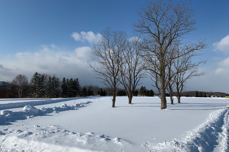 北国から雪の便りが聞こえてきた