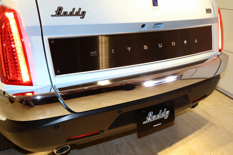 バックランプと中央のブレーキランプを点灯