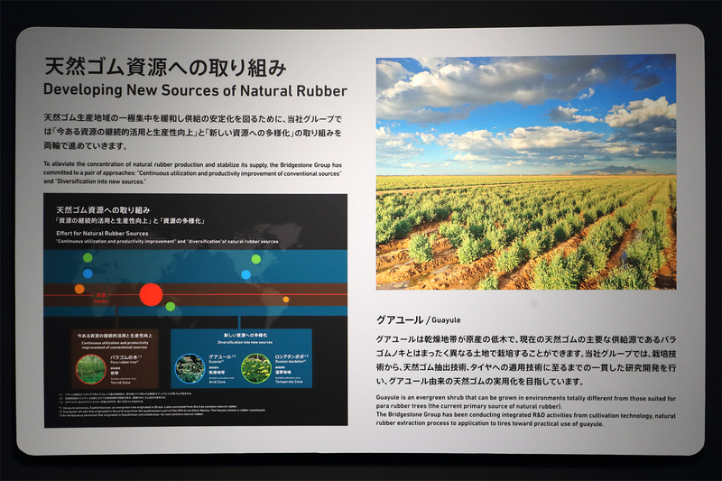 天然ゴム資源への取り組みを解説