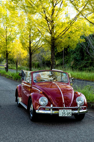 フォルクスワーゲン ビートル ヴィンテージ Volkswagen Beetle 日本で購入された1966年型ビートル（タイプ1コンバーチブル）、54年