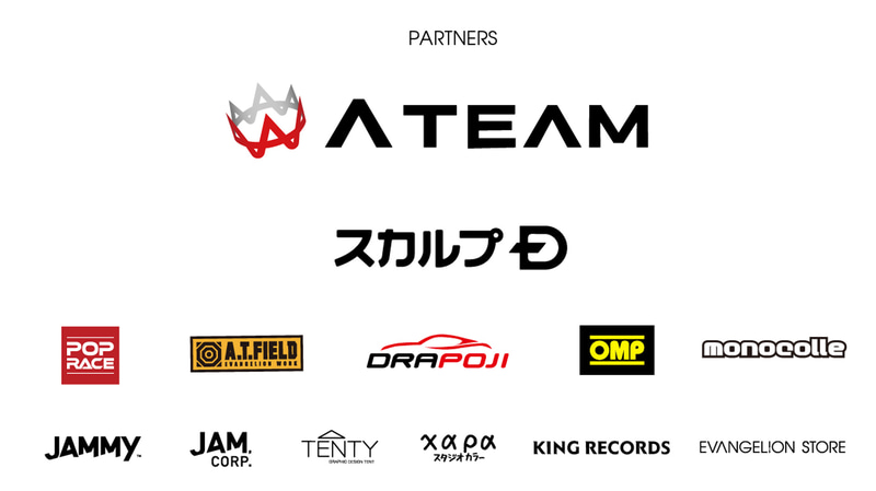 チームパートナー