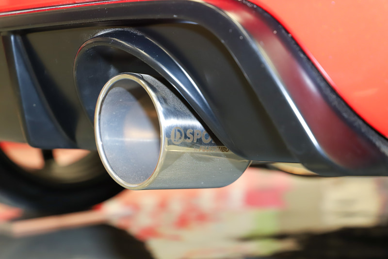 マフラーはD-SPORTのもの