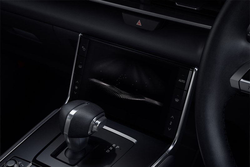 ロアディスプレイ