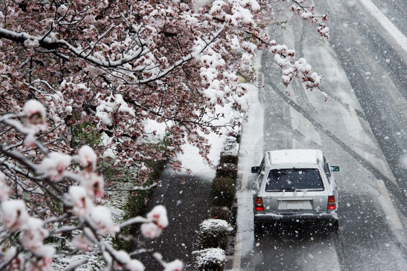 突然の降雪でも安心なオールシーズンタイヤ