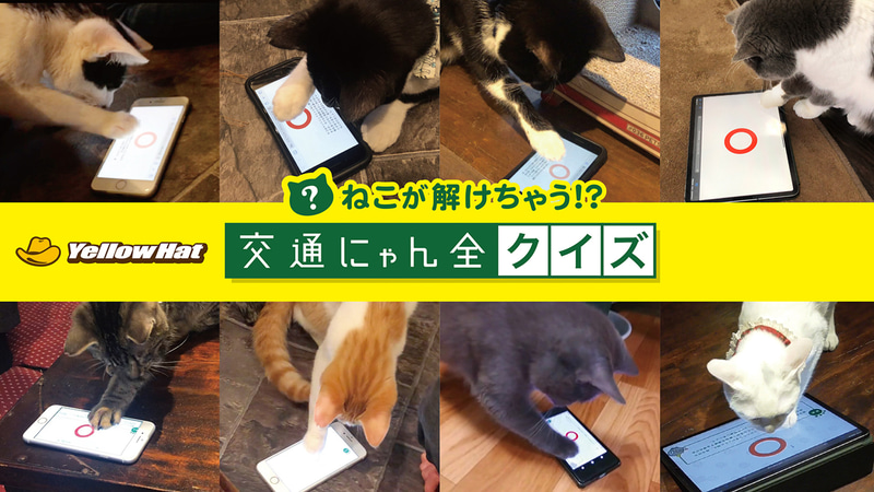 スマートフォンやタブレットで参加できる「交通にゃん全クイズ」