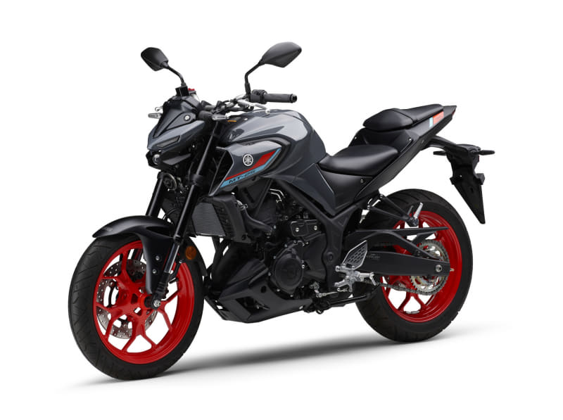 MT-25 ABS パステルダークグレー