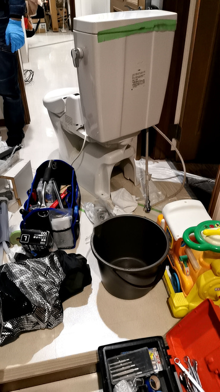 便座が外れているところを見たのは初めて。思わず便座の裏側や構造なども観察してしまいました