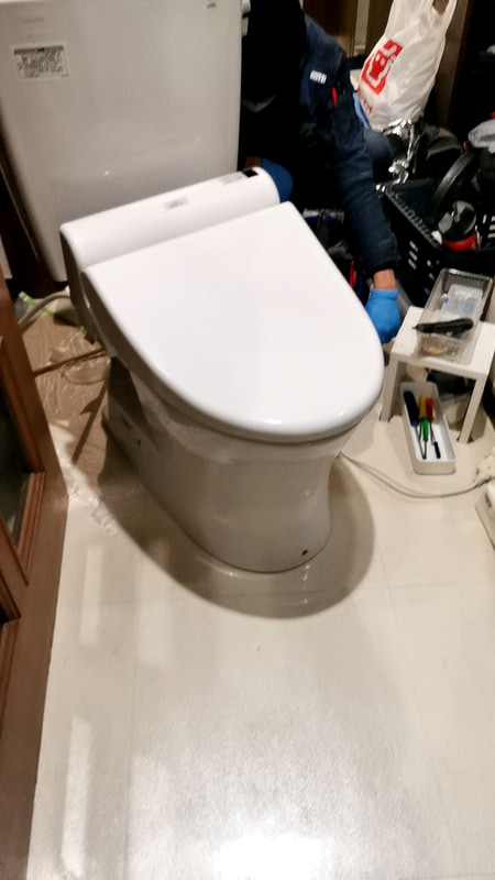 便座が外れているところを見たのは初めて。思わず便座の裏側や構造なども観察してしまいました