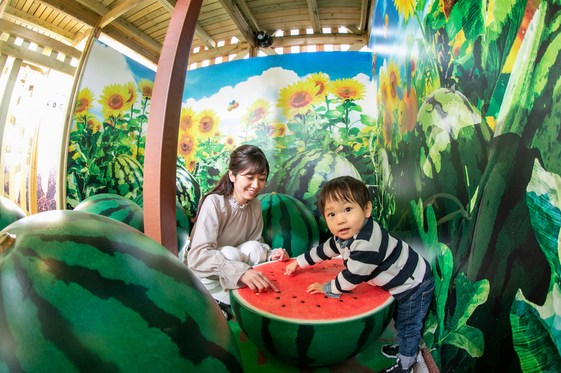 0歳～2歳の乳幼児専用エリア。※乳幼児専用エリアは0歳～2歳の子どもが中学生以上の同伴ありで利用可