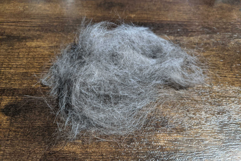 猫をちょっとだけブラッシングしたらこれだけの毛が抜けました。春ですね……