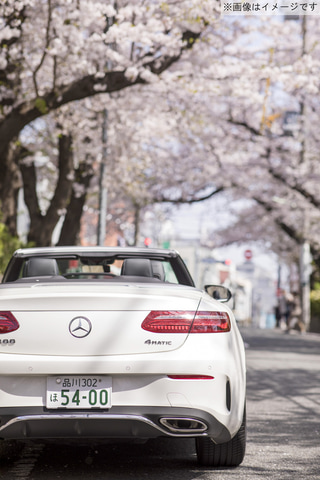 メルセデスミー東京、オープンカーで桜を見る「さくらクルーズ」開催
