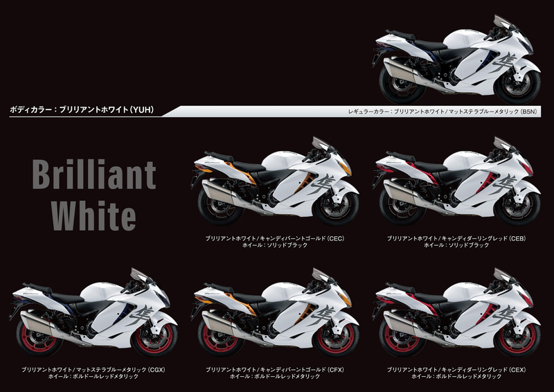 カラーオーダープラン