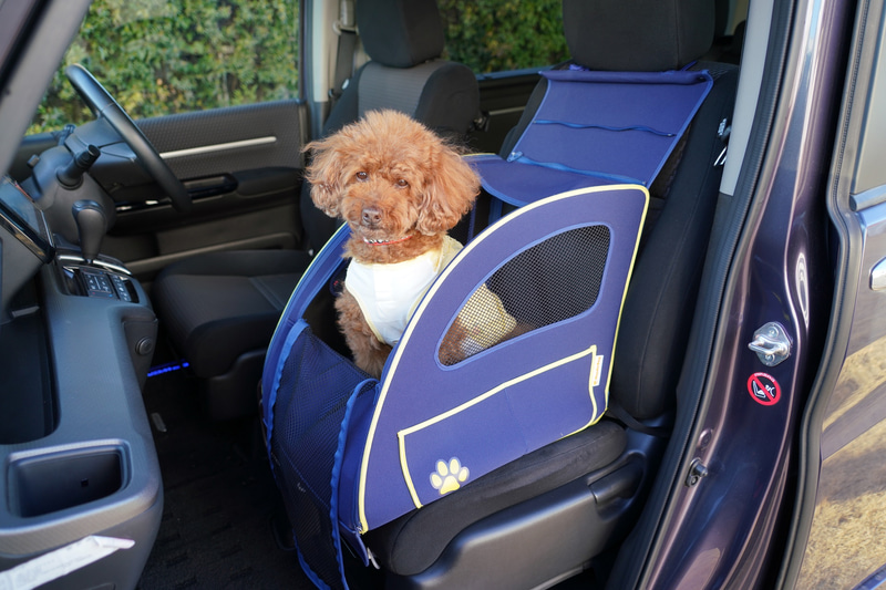 小型犬用の「ペットシートプラスわん」使用イメージ