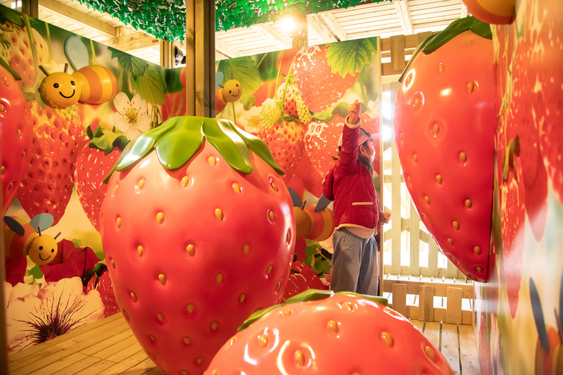 「菜園めいろ ポタジェンヌ」では大きく育った野菜や果物の中を冒険しながら、スタンプを集めたりして5階のゴールを目指す