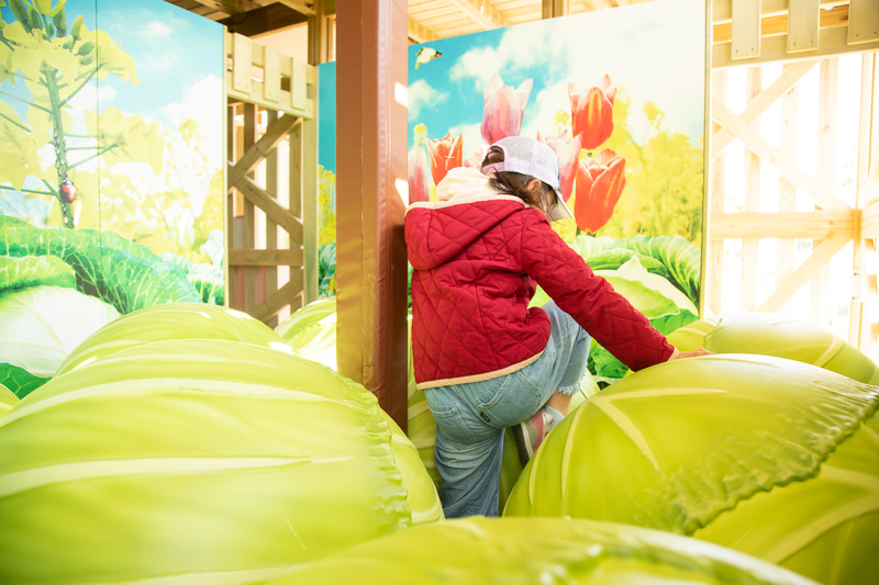 「菜園めいろ ポタジェンヌ」では大きく育った野菜や果物の中を冒険しながら、スタンプを集めたりして5階のゴールを目指す