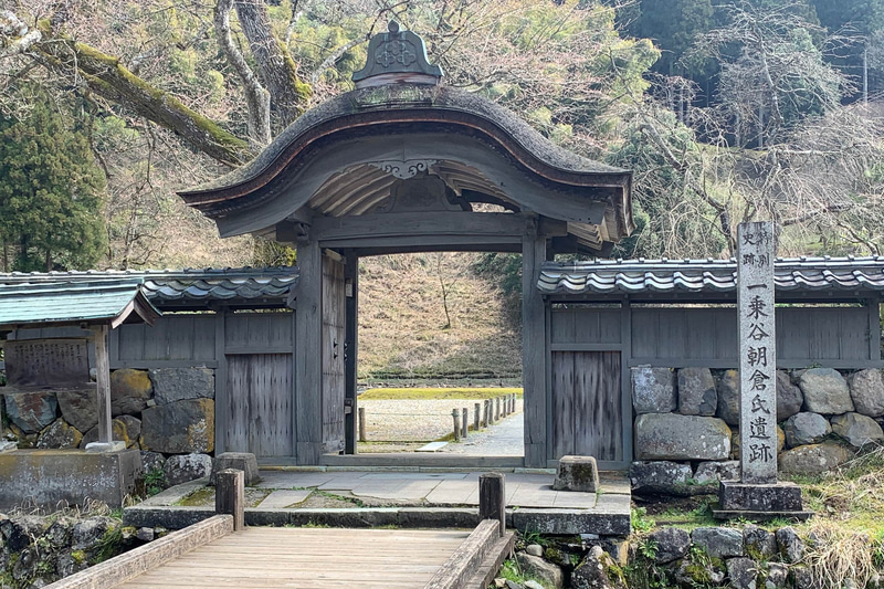 朝倉氏住居跡の遺跡。荒れ果てた名庭園が4つ発掘されています。戦争は何でも破壊してしまう