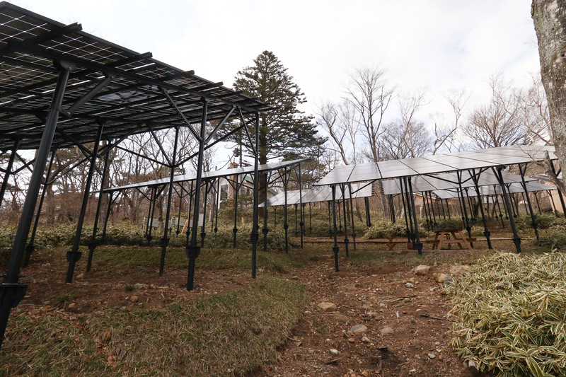 Looop Resort NASUは太陽光発電所でもあり、発電出力は203.84kW