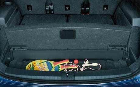 ラゲージアンダースペース