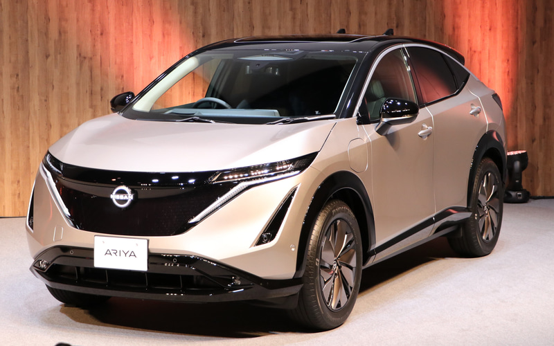 シェルブロンド/ミッドナイトブラック