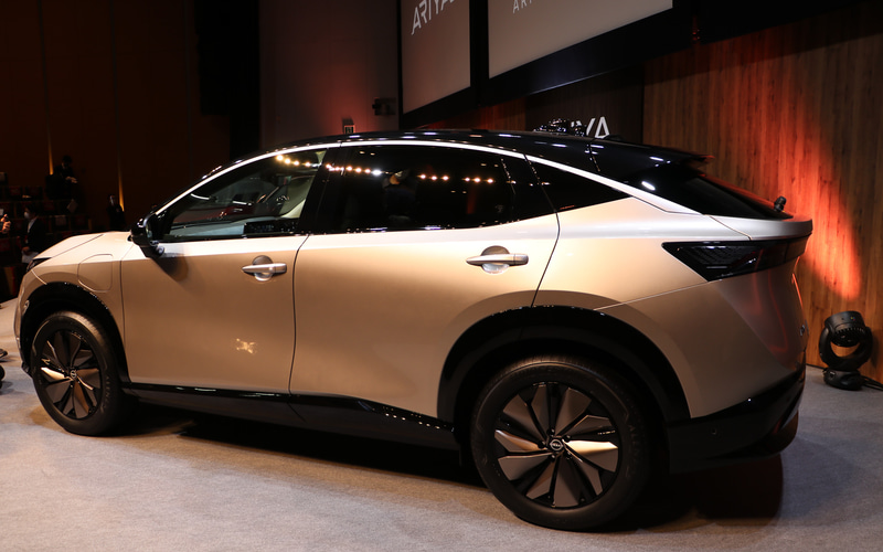 シェルブロンド/ミッドナイトブラック