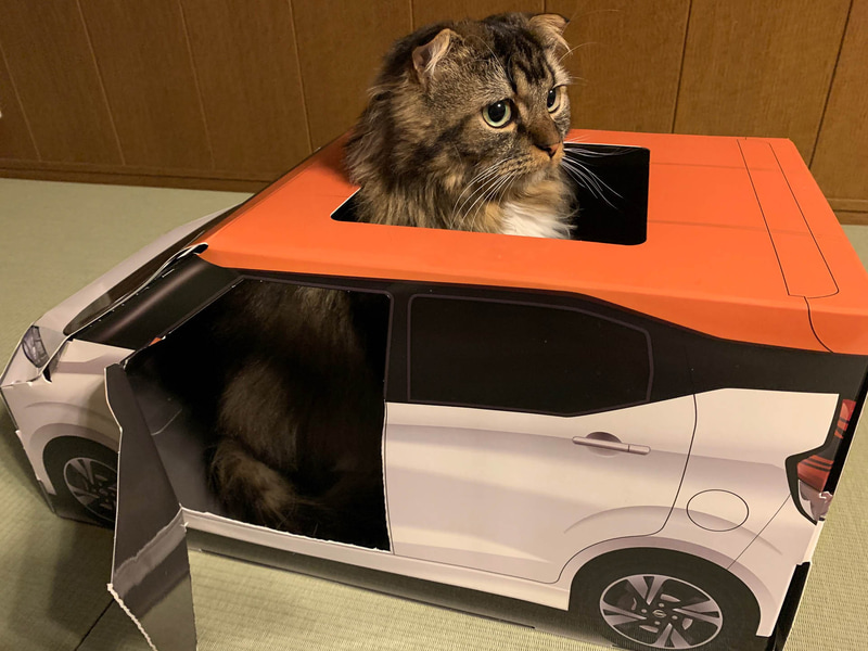 ドアを開けて、後方ヨシ！　その後一目散に走り去っていきました