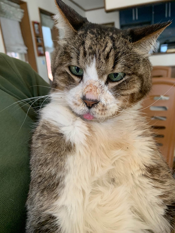 サスケ先輩、舌をしまってください