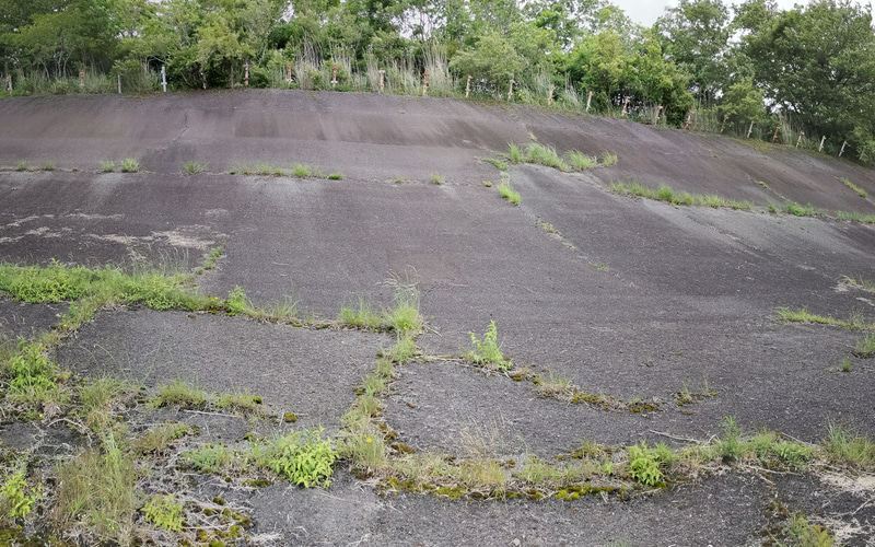 バンクに向かって正面を向くと本当に壁です。スキー場の上級コースみたいです